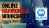 Harmonica workshops Online Roly Platt