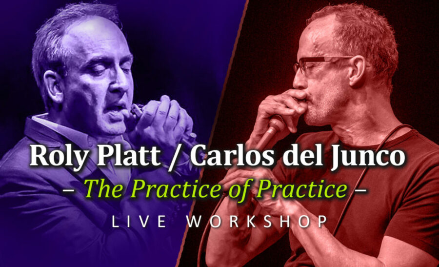 Harmonica workshop carlos del junco roly platt